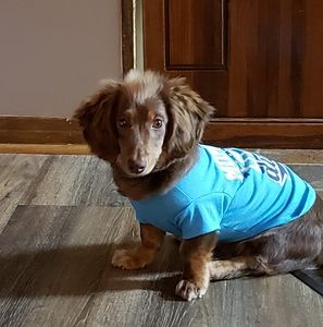 Meet your Posher, Peggy